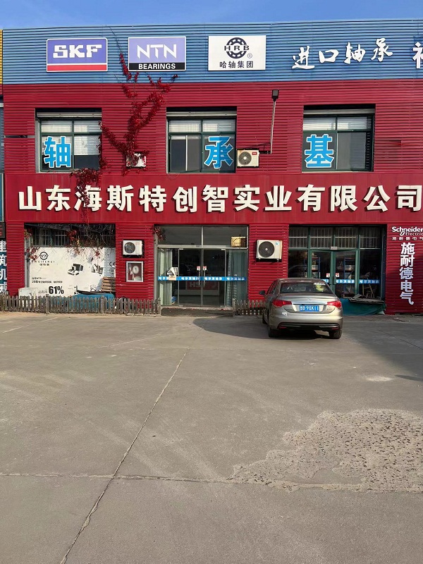 山东海斯特创智实业有限公司